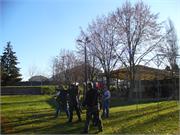 Nagykanizsa 2010.11.14 002